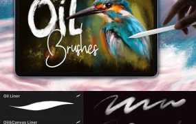 procreate全套中文笔刷水彩厚涂勾线金箔油画人像花纹等26G＋送色卡和教程