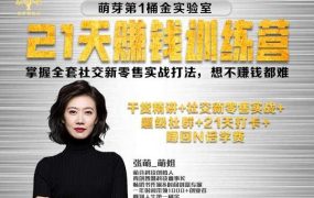 张萌21天赚钱强化营