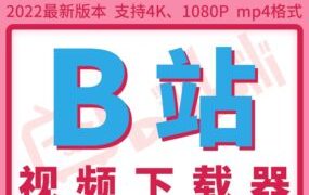 B站视频下载器