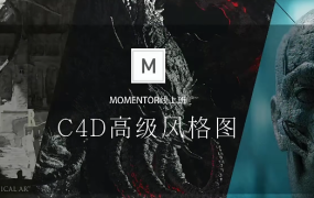 高级影像全方位第3期曾神第三期