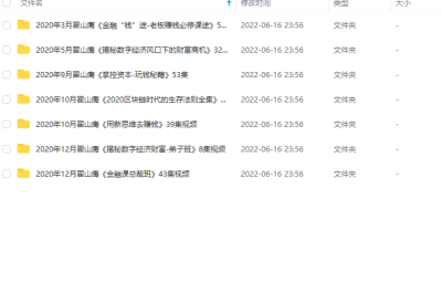 翟山鹰2020年